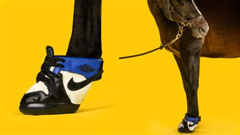 nike schoenen voor paarden|Nike schoenen online.